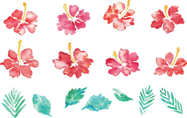水彩画。水彩タッチのハイビスカスベクターフレーム。南国風ハイビスカスの背景。Watercolor painting. Hibiscus vector frame with watercolor touch. Tropical style hibiscus background.