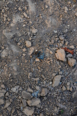 Textures On The Cracked Ground