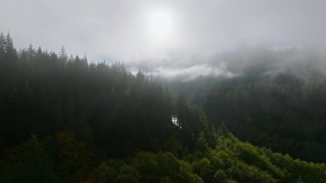 Drone ascends from dirt patch above Lewis River into dense fog of forest, PNW