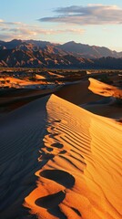 Fototapeta premium Sunset Shadows on Desert Dunes