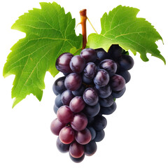 Fototapeta premium Black Grapefruit transparent background PNG