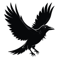 A cute crow looks good