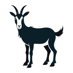 Fototapeta premium A cute goat looks good