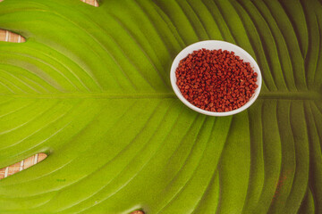 Annatto tree bixa orellana seeds 