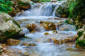 Fototapeta premium A Mountain Stream with Clear Water