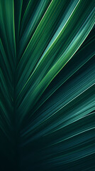 Close up of green leaves of palm tree