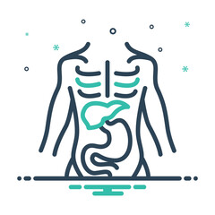 Mix icon for anatomy 
