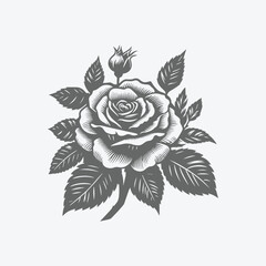 free vector black rose flower illustration