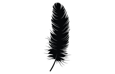 Cute Bird Feather Silhouette Illustration, Bird Feather Vector icon, Black silhouette of a bird feather on a white background, 
Different types of bird feather.