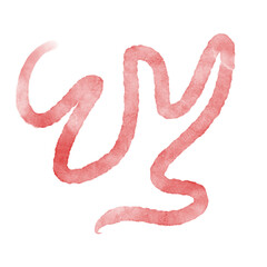 Watercolor Squiggles Lines Decor