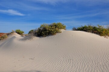 Wind patterns in the sand at Bahia de las Animas, Baja California