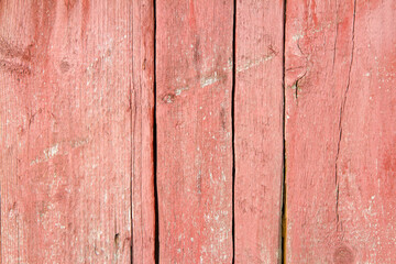 The pink texture of an old wooden surface. Old wooden planks.