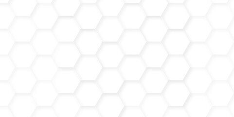Abstract background with hexagons. Geometric hexagon polygonal pattern background vector. seamless bright white abstract honeycomb grid 3d cell tile technology texture backdrop concept.