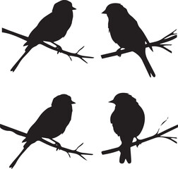 Set of birds silhouette vector