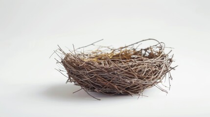 Obraz premium Bird s nest on white background