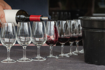 Hand Pouring Wine into Empty Glasses at a Winery Tasting
