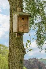 A birdhouse is on a tree branch