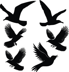 soaring bird silhouette, vector graphic, simple and sleek