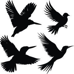 soaring bird silhouette, vector graphic, simple and sleek