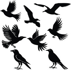 bird in flight silhouette, vector art, minimalist design