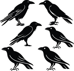 Stylish bird silhouette vector art, minimalist design, elegant lines