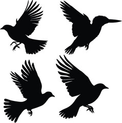 Flying Bird Silhouette Vector Art