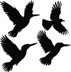 Flying Bird Silhouette Vector Art