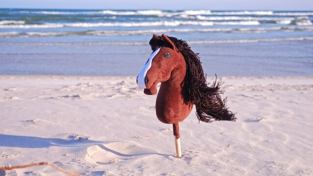 Funny Hobby Horse Kids Toy Standing in Seashore Beach Sand on Windy Day