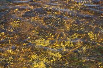 Clear sea water over yellow and brown rock abstract background