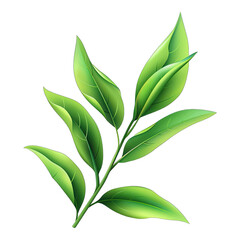 Fototapeta premium Green Leaf Branches isolated on transparent background. illustration . Generative ai