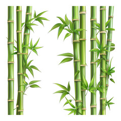Bamboo Stalks isolated on transparent background. illustration . Generative ai