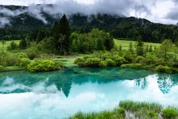 Alpine Serenity: Zelenci Natural Reserve in Summer, Slovenia