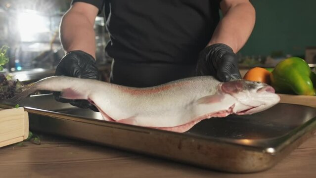 Chef in gloves throwing fish on a tray standing on a table among herbs and vegetables