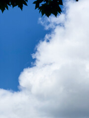 Fototapeta premium blue sky with clouds