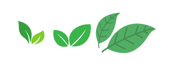 Beautiful vector shapes of leaves