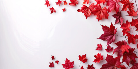 Banner for canada day with place for text, red maple leaves on a white background with copy space
