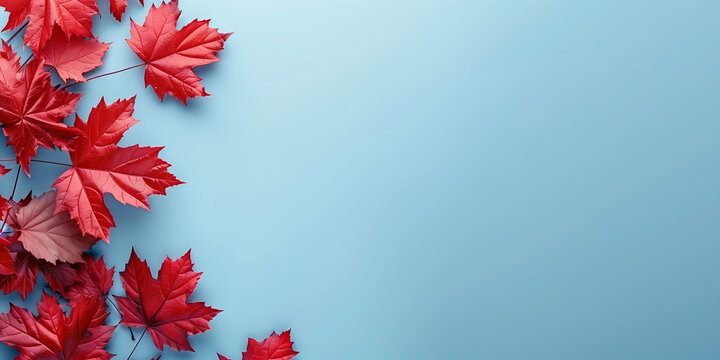 Banner for canada day with place for text, red maple leaves on a light blue background with copy space