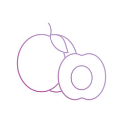 apricot icon with white background vector stock illustration