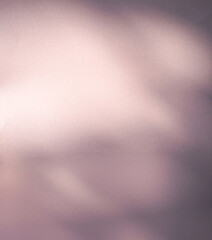 Shadow Leaves Premium Gradation Beige Background Texture blur Gradient Light Pastel Abstract Luxury Premium Mockup Peach Color Backdrop Template Valentine Summer Spring Overlay Neon Pink Flower Rose.