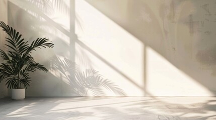 Empty studio wall with plant shadow for online cosmetic product display Nature inspired minimalistic setting