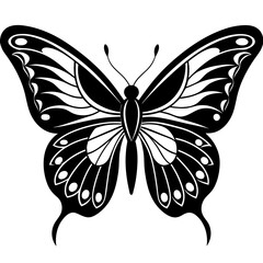 butterfly vector icon