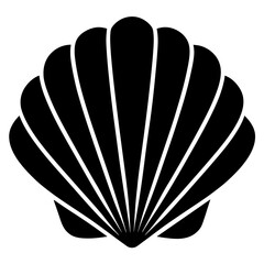 illustration of a seashell