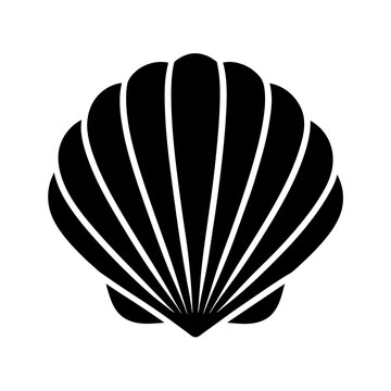 illustration of a seashell on a black background
