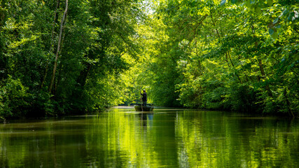 marais poitevin- green Venice- France