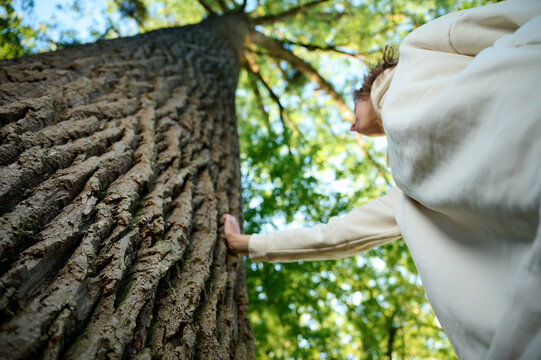 Pretty woman leaning on the old tree. Female hugging huge tree trunk. Girl touches a big tree in a park. Spiritual healing, love nature. Energy recharge in the forest.