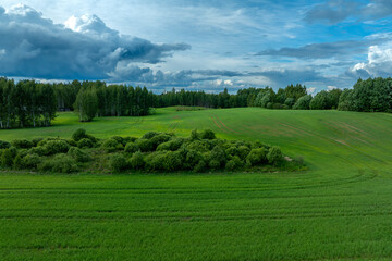field and blue sky