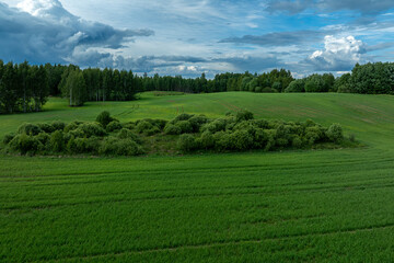 Obraz premium field and blue sky
