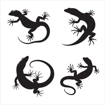 lizard silhouette vector set illustration
