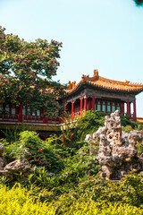 Traditional Pavilion Surrounded by Lush Foliage, Forbidden City