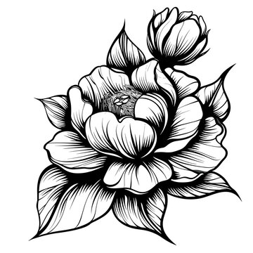 recommend clip art: black and white vector illustration in tattoo style - a beautiful exotic flower on a white background